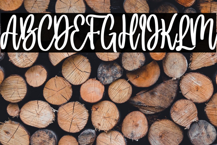 Holla bella bold Bold Example 2