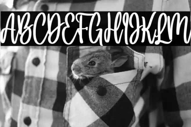 Holla bella bold Bold Font examples