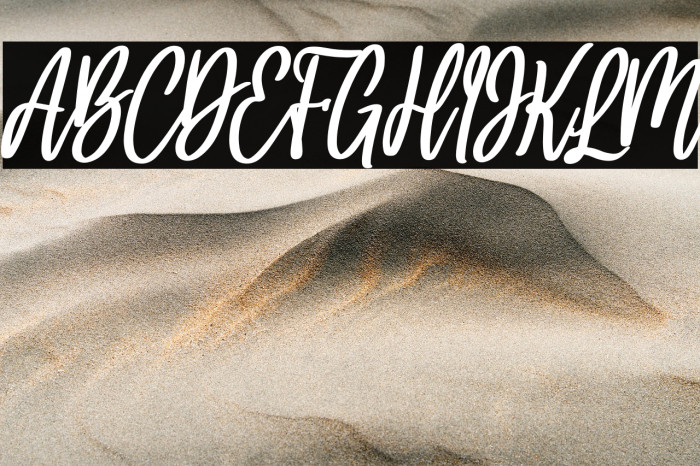 Holla bella bold italic Bold Italic Example 2