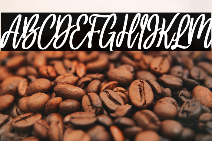 Holla bella bold italic Bold Italic Example 3