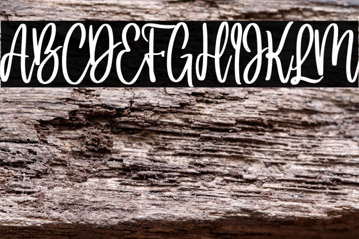 Holla bella Example 2