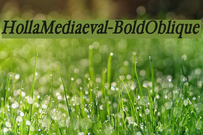 HollaMediaeval-BoldOblique Font examples