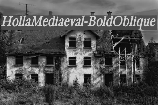 HollaMediaeval-BoldOblique Font examples
