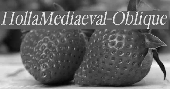 HollaMediaeval-Oblique Font examples