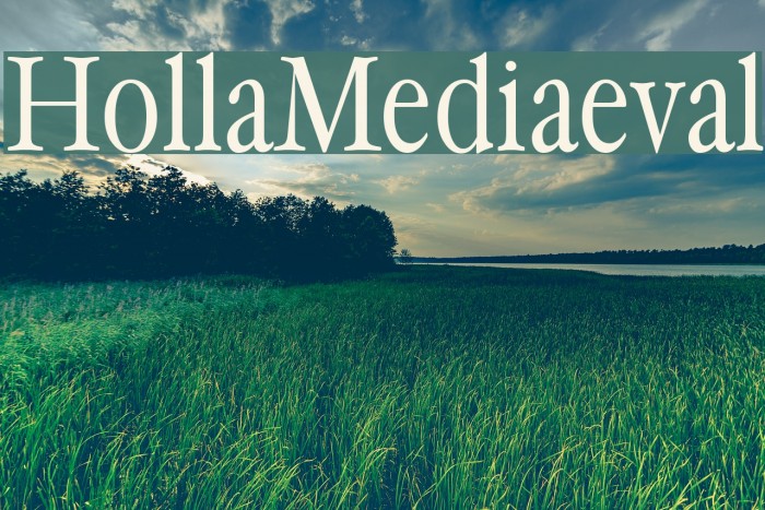 HollaMediaeval Font examples