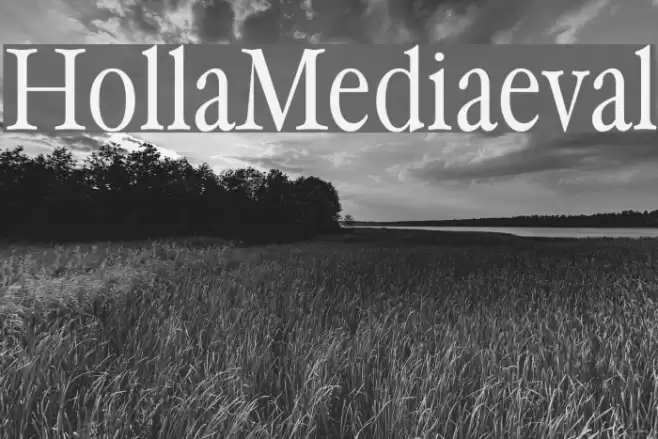 HollaMediaeval Font examples