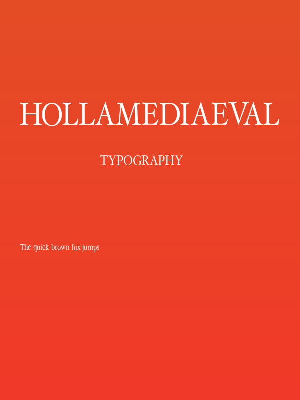 HollaMediaeval Poster