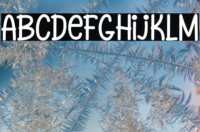 HollaMondaypersonalUse-Person Example 2