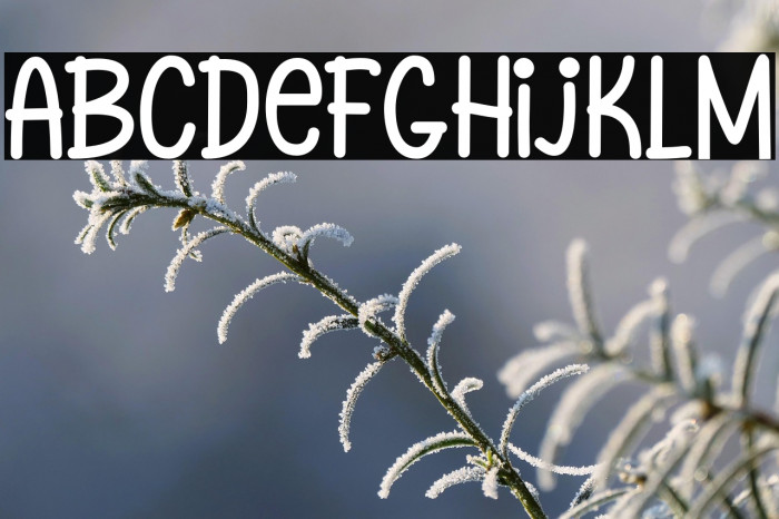 HollaMondaypersonalUse-Person Example 3