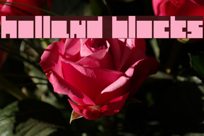 Holland Blocks Font examples