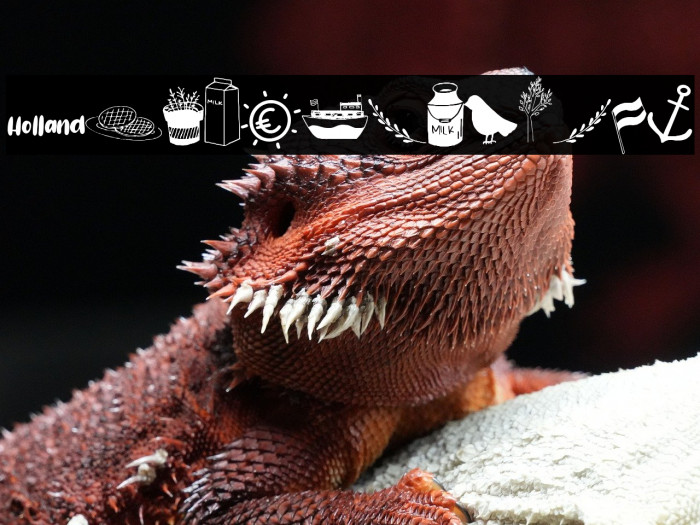 Holland Dingbats Example 1