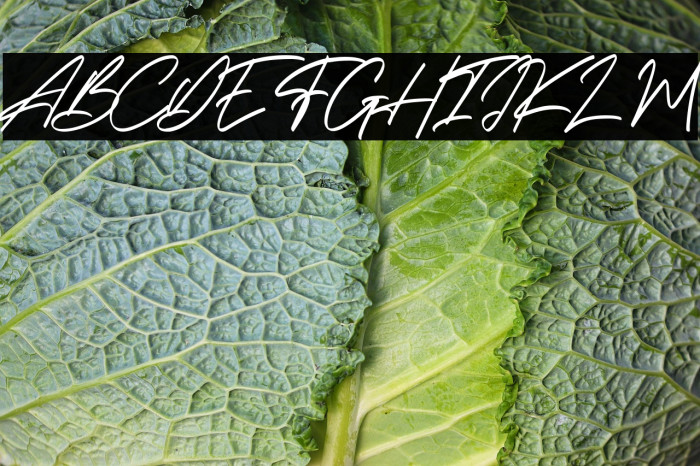 Holland Gateway Example 2