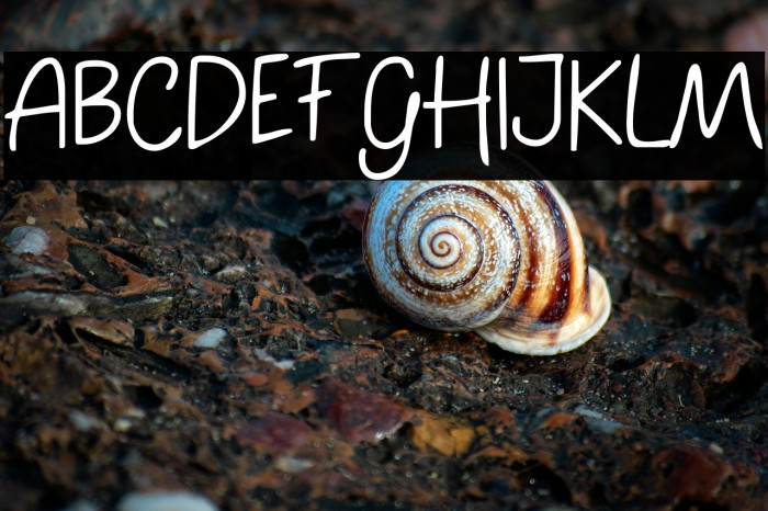 Holland Land Example 1