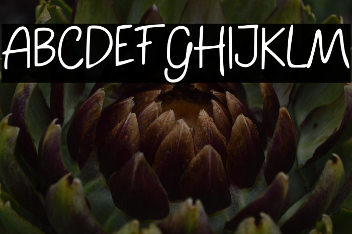 Holland Land Example 3