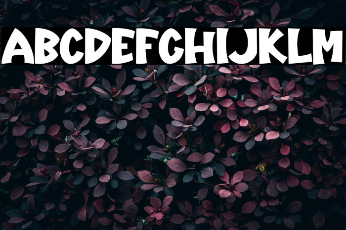 Holland-Regular Example 1