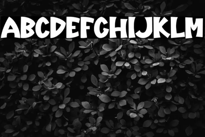 Holland-Regular Caratteri examples