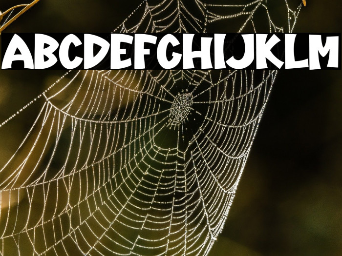 Holland-Regular Example 2