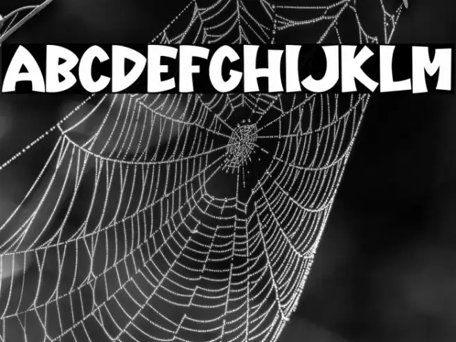 Holland-Regular Caratteri examples