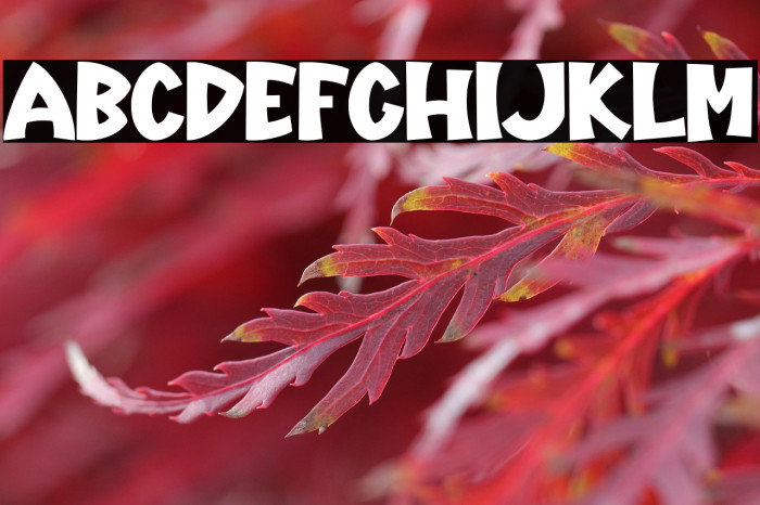 Holland-Regular Example 3