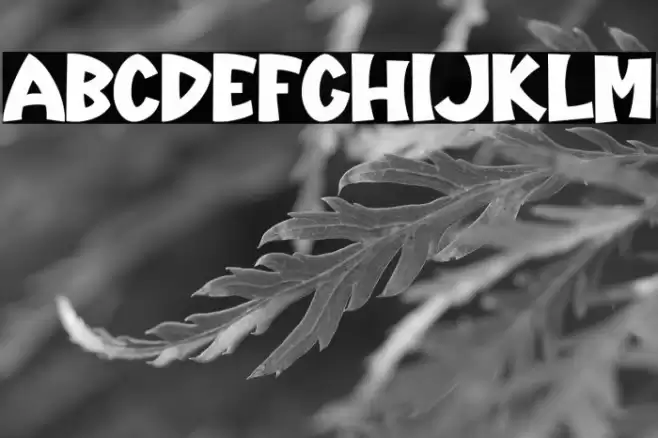 Holland-Regular Caratteri examples