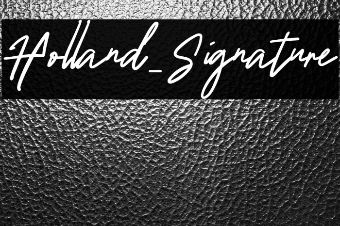 Holland_Signature Example 3