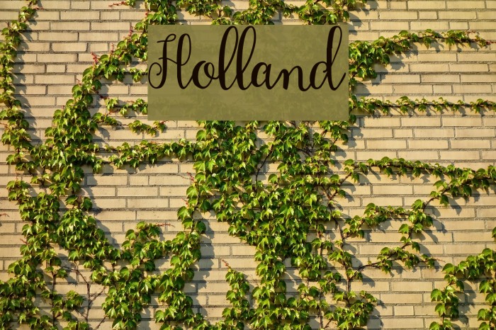 Holland Font examples