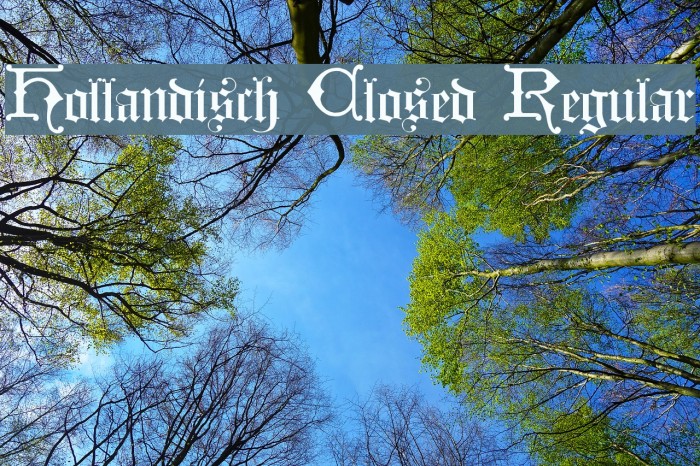 Hollandisch Closed Regular Font examples