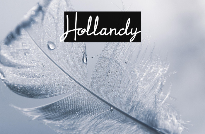 Hollandy Example 1