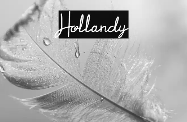 Hollandy Font examples