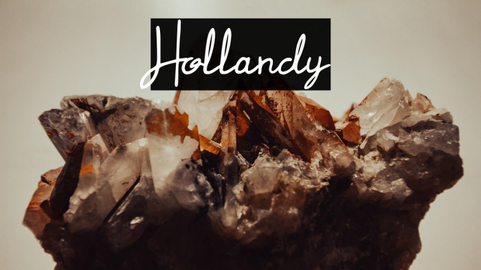 Hollandy Example 3