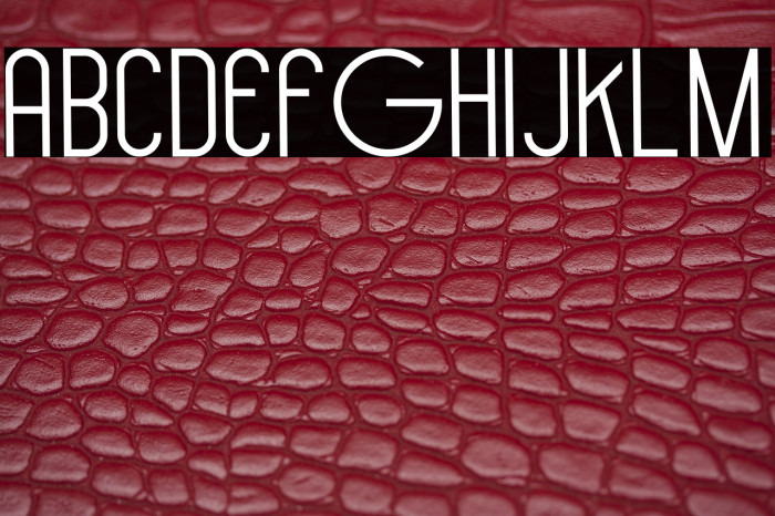 Hollen amare sans Example 1