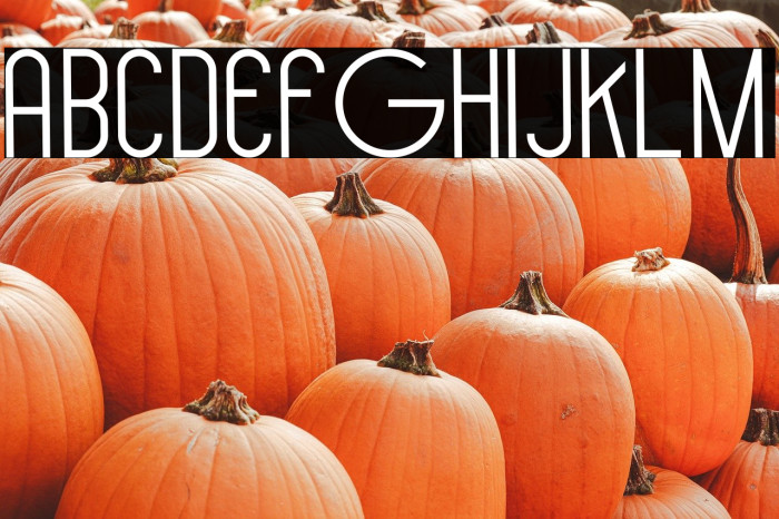 Hollen amare sans Example 2