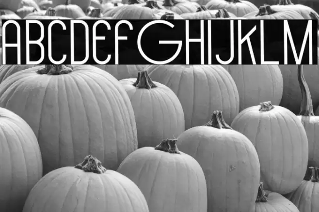 Hollen amare sans Font examples