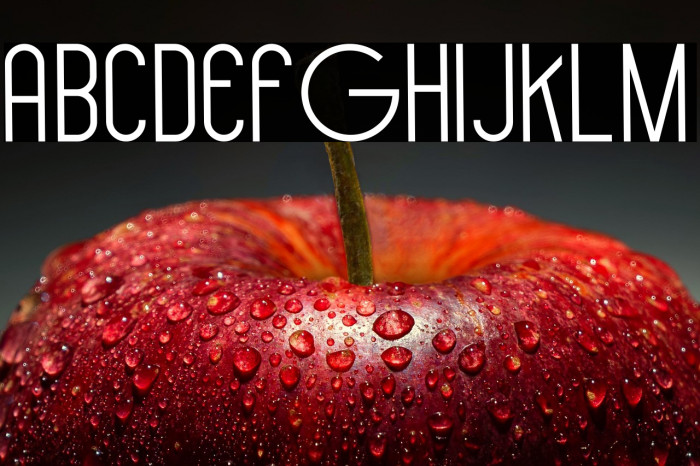 Hollen amare sans Example 3