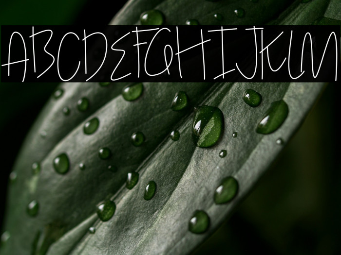 Hollen amare script script Example 2