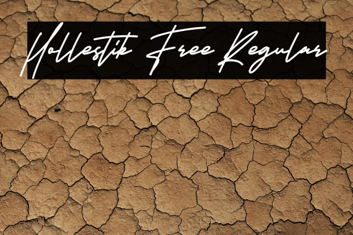 Hollestik Free Regular Example 2