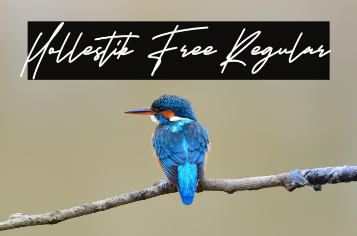 Hollestik Free Regular Example 3