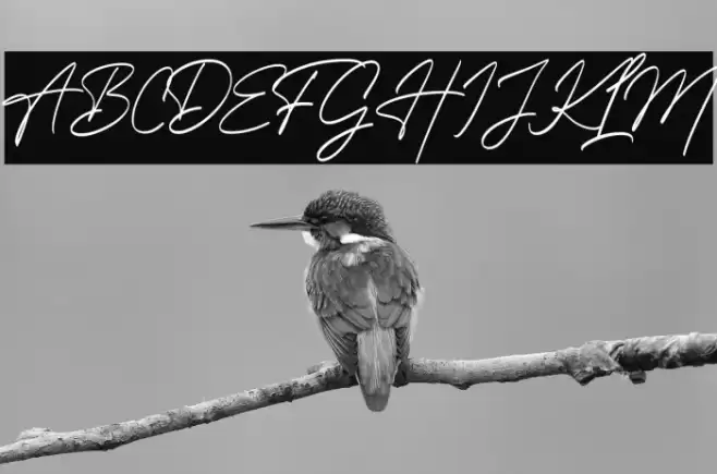 Hollgates Font examples