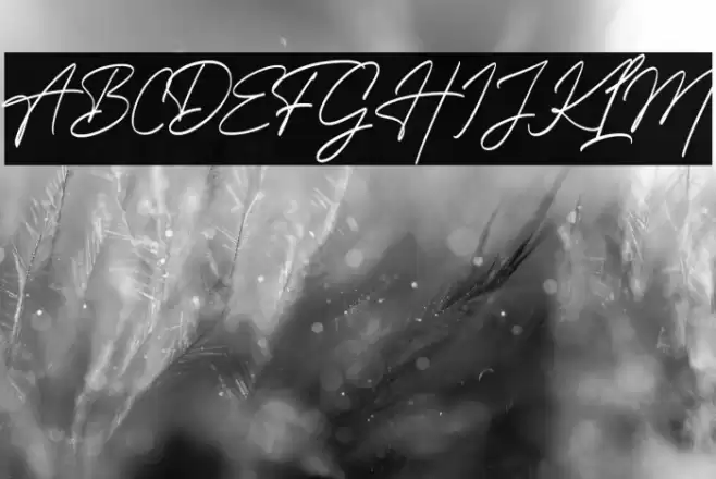 Hollgates Font examples