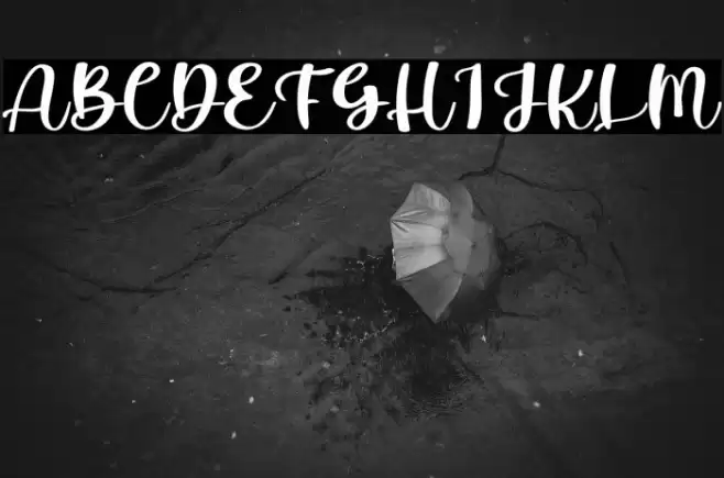 Holliday Font examples