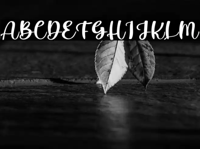 Holliday Font examples