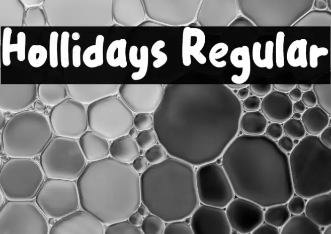 Hollidays Regular Font examples