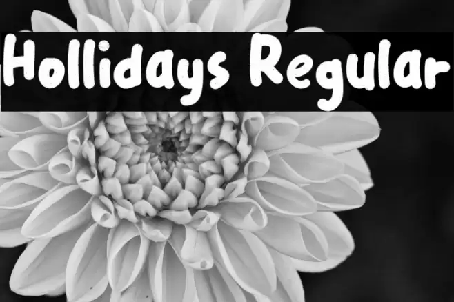 Hollidays Regular Font examples