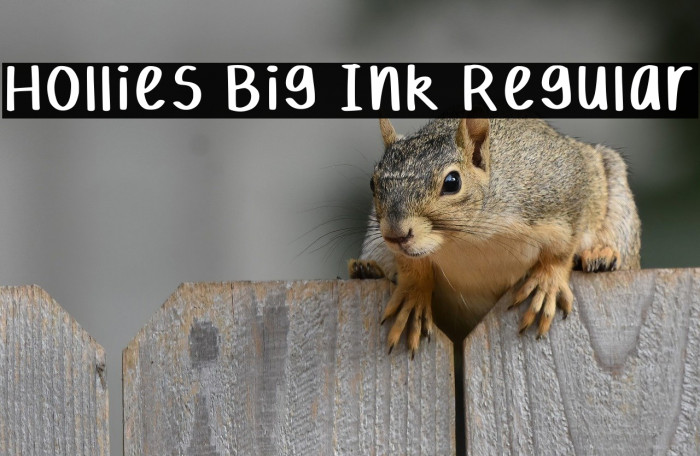 Hollies Big Ink Regular Example 1