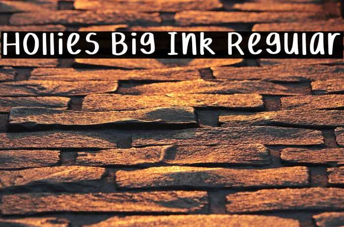 Hollies Big Ink Regular Example 3