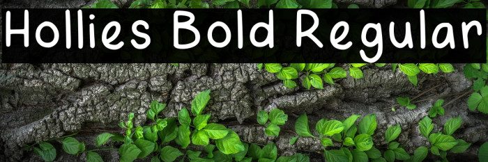 Hollies Bold Regular Example 2