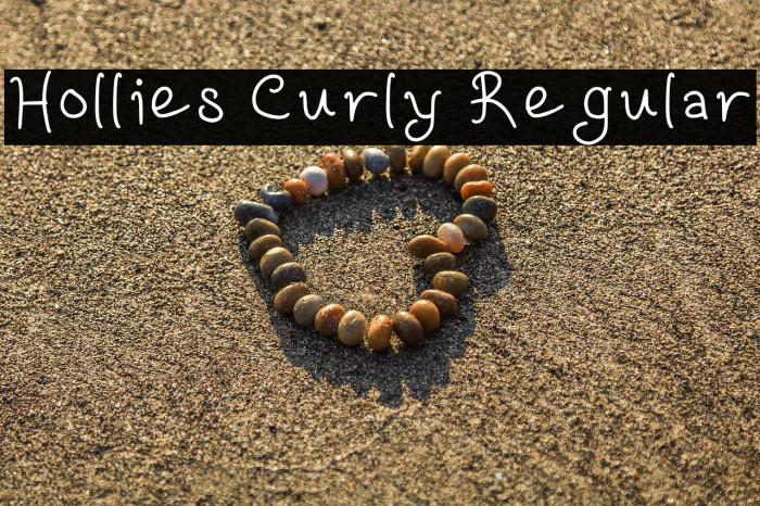 Hollies Curly Regular Example 1