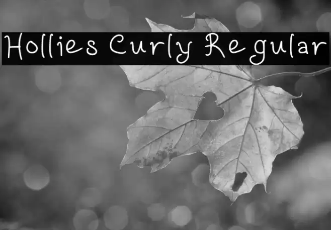 Hollies Curly Regular 字体 examples