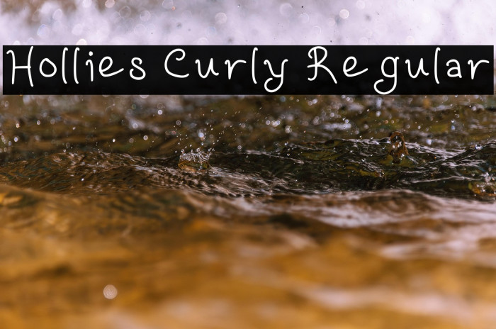 Hollies Curly Regular Example 3