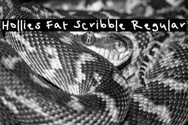 Hollies Fat Scribble Regular Caratteri examples